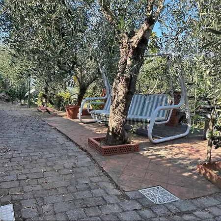 Agrihome Di Alberto Giuseppe Gulotta Bella Vista La Vista * Massarosa