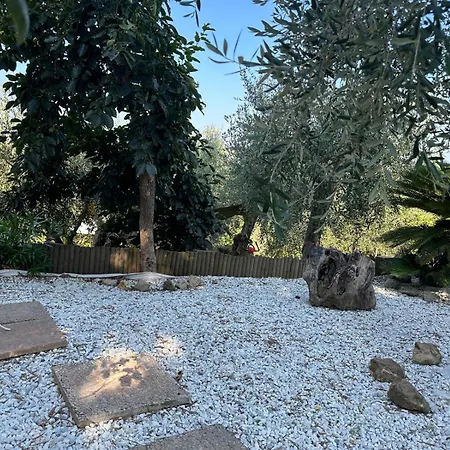 Agrihome Di Alberto Giuseppe Gulotta Bella Vista La Vista