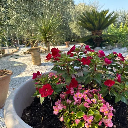 Apartman Agrihome Di Alberto Giuseppe Gulotta Bella Vista La Vista *