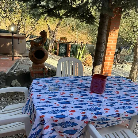 Apartman Agrihome Di Alberto Giuseppe Gulotta Bella Vista La Vista Massarosa