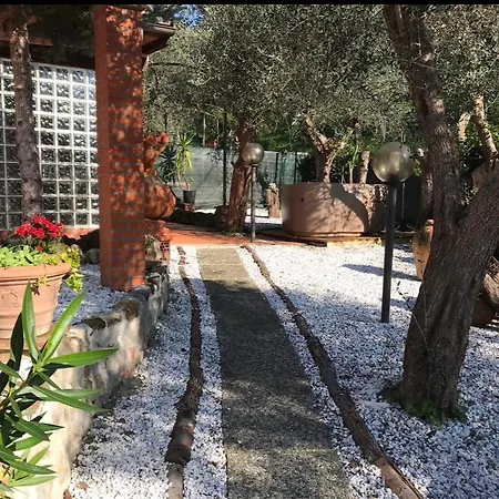 Agrihome Di Alberto Giuseppe Gulotta Bella Vista La Vista Massarosa