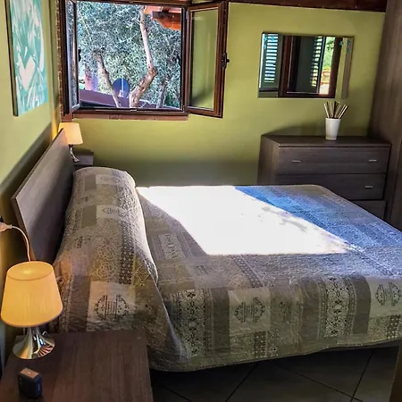Apartman Agrihome Di Alberto Giuseppe Gulotta Bella Vista La Vista Massarosa