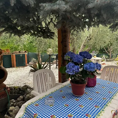 Agrihome Di Alberto Giuseppe Gulotta Bella Vista La Vista Massarosa
