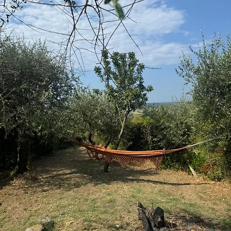 Agrihome Di Alberto Giuseppe Gulotta Bella Vista La Vista * Massarosa